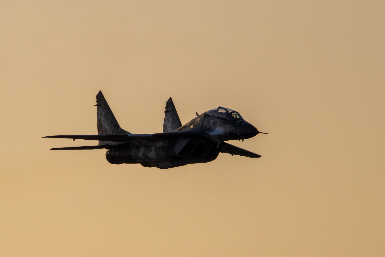 MiG-29 from the Ghost Squadron in flight